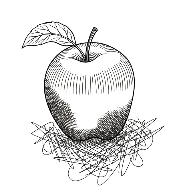 Cross-hatched ink drawing of an apple with a single leaf, set on a scribbled shadow